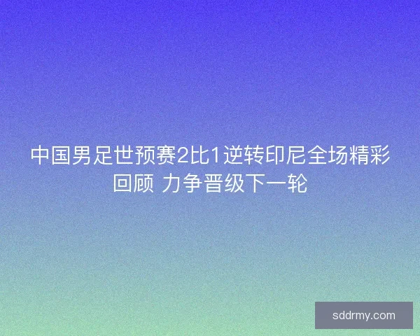 中国男足世预赛2比1逆转印尼全场精彩回顾 力争晋级下一轮